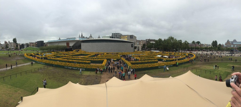 Van Gogh Maze Panorama